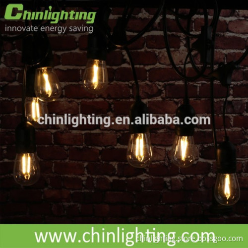 OEM service direct sale Indoor and outdoor led bulb, led light string S14 led lighting